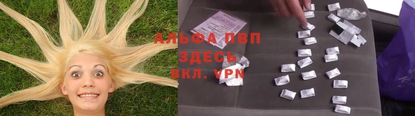 спиды Ладушкин