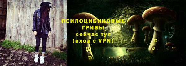 спиды Ладушкин