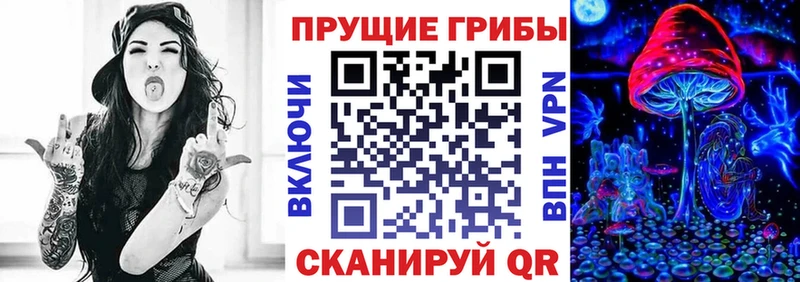 Псилоцибиновые грибы MAGIC MUSHROOMS  как найти закладки  Невинномысск 